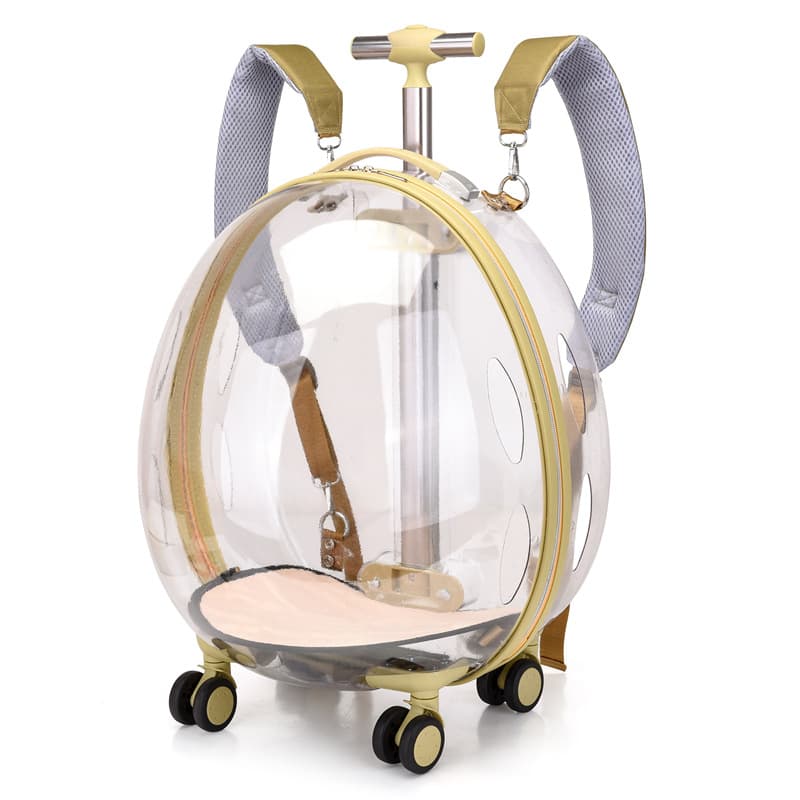 Cat Bag Space Capsule Bubble Box